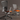 Zody Chair