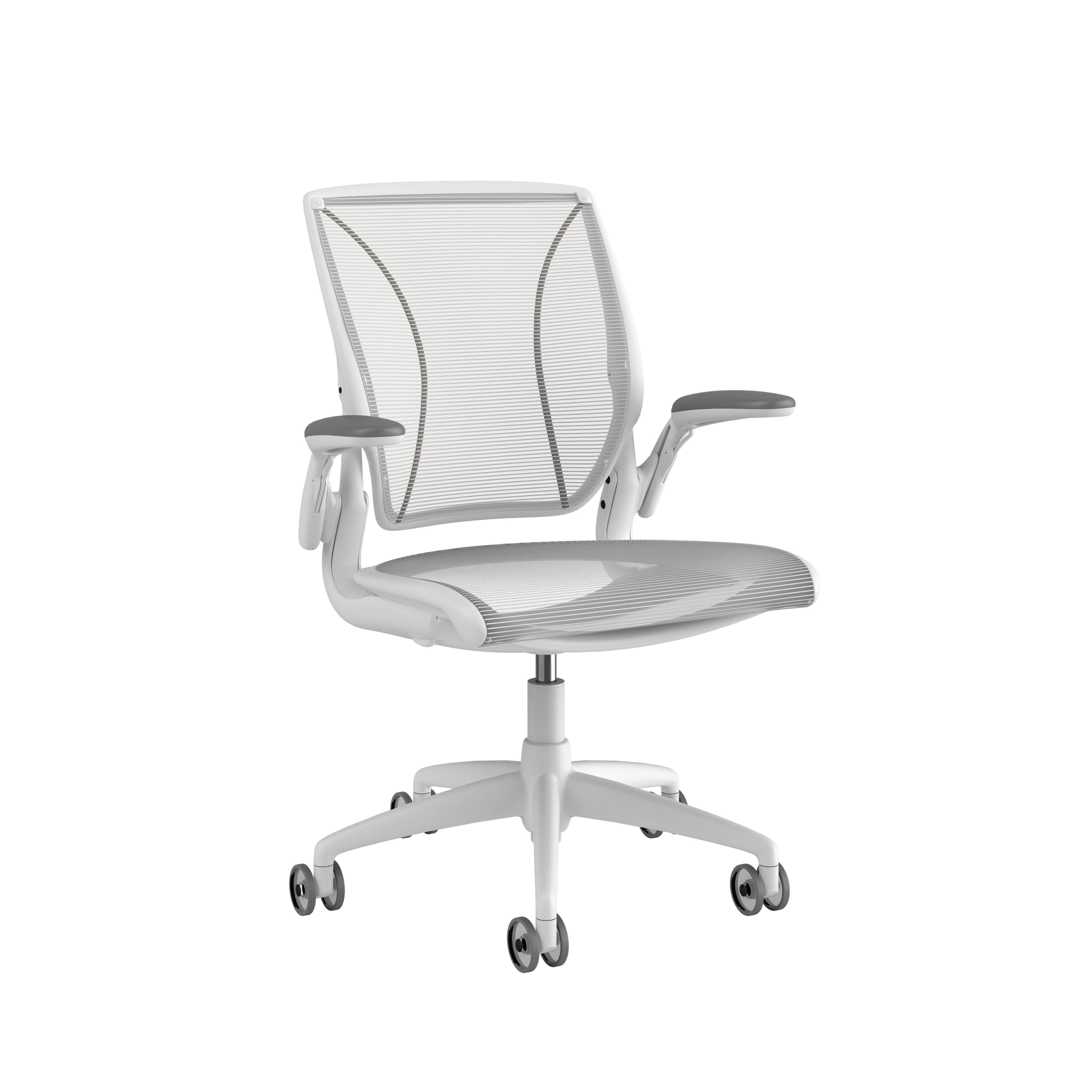 Humanscale Diffrient World Chair – Ergoport